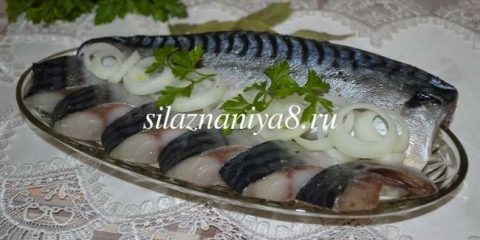 Jak nakládat makrelu doma chutně a rychle vcelku